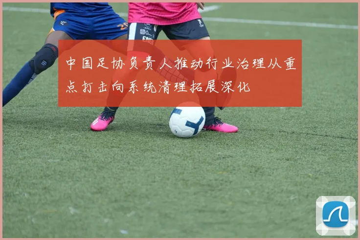 中国足协负责人推动行业治理从重点打击向系统清理拓展深化